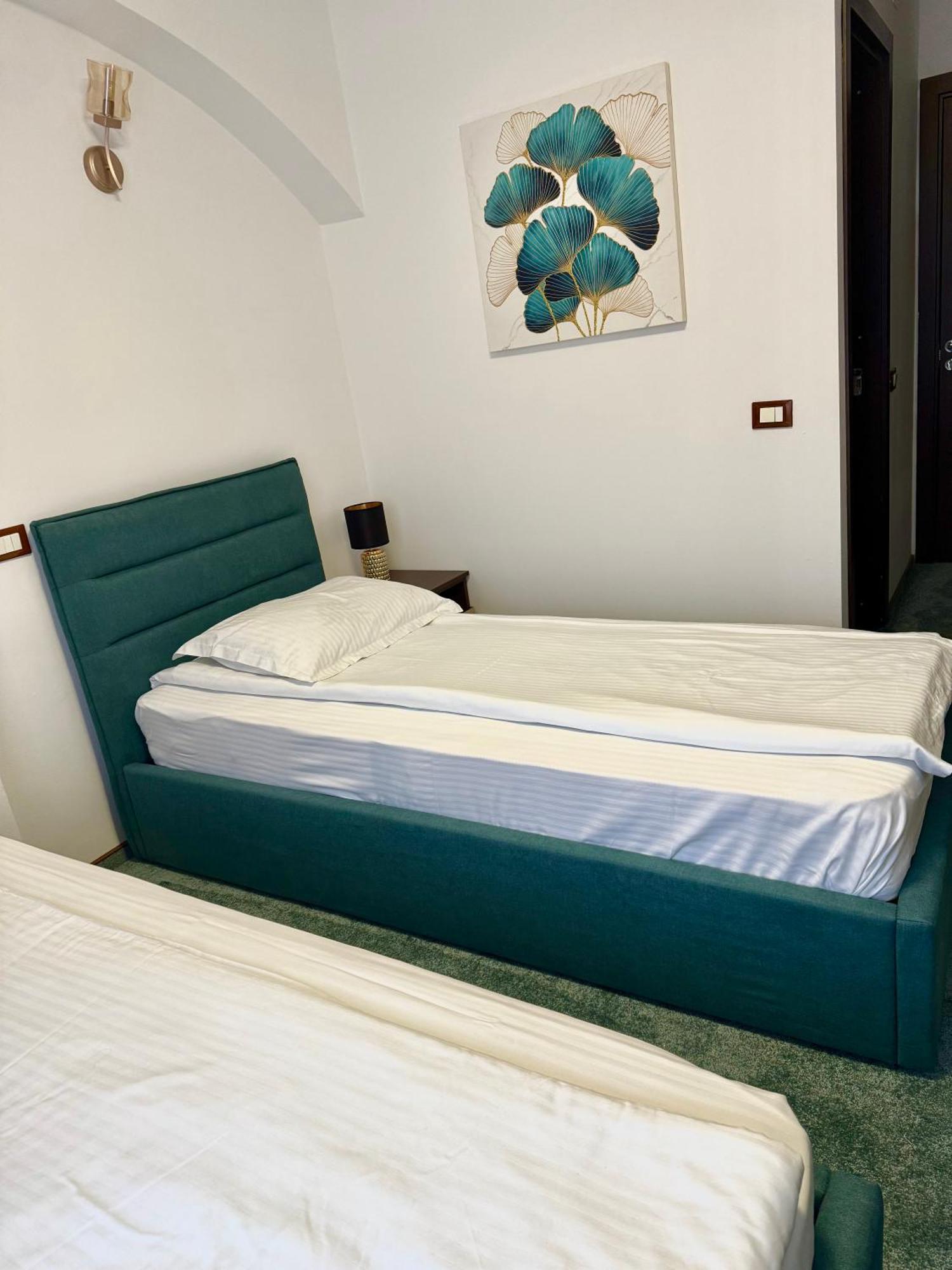 Hotel Palace Zsilvásárhely Kültér fotó